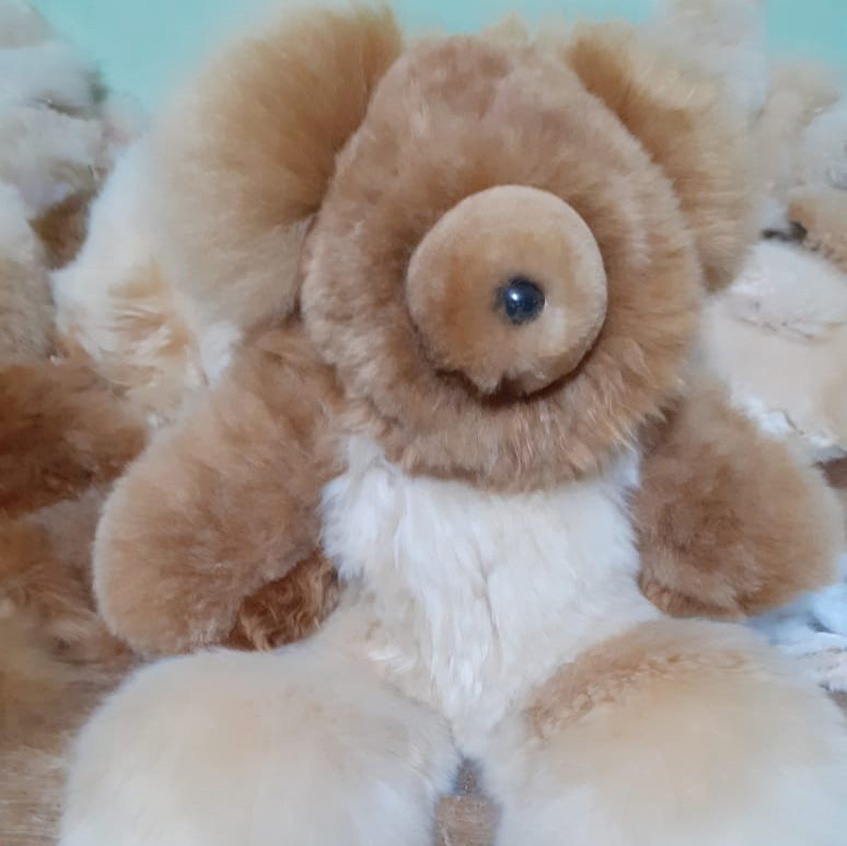 MILLWA Teddybären L PREMIUM